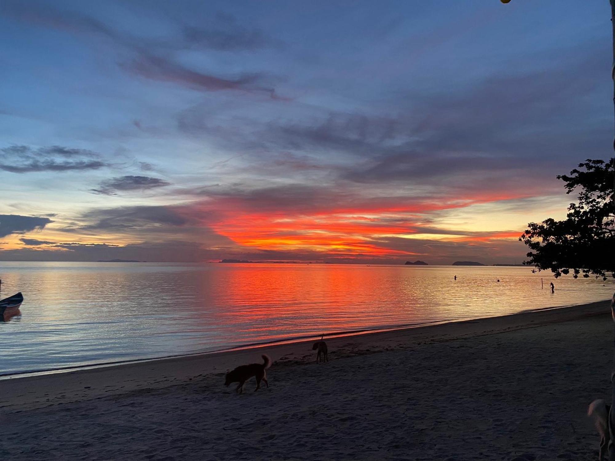 Rainbow Bungalow Haadrin Koh Phangan Haad Rin Exteriör bild
